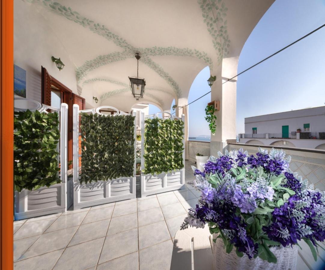 مبيت وإفطار ايسكيا La Finestra Sul Mare المظهر الخارجي الصورة